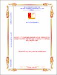 000000271906.pdf.jpg