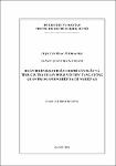 207845.pdf.jpg