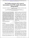 OER000002675.pdf.jpg