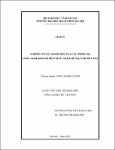 000000253265.pdf.jpg