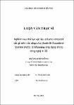 334095.pdf.jpg