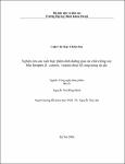 000000208364.pdf.jpg