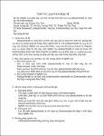 319882-tt.pdf.jpg