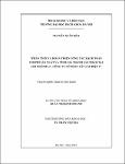 000000253141.pdf.jpg